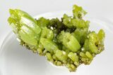 Apple-Green Pyromorphite Crystal Cluster - China #179724-2